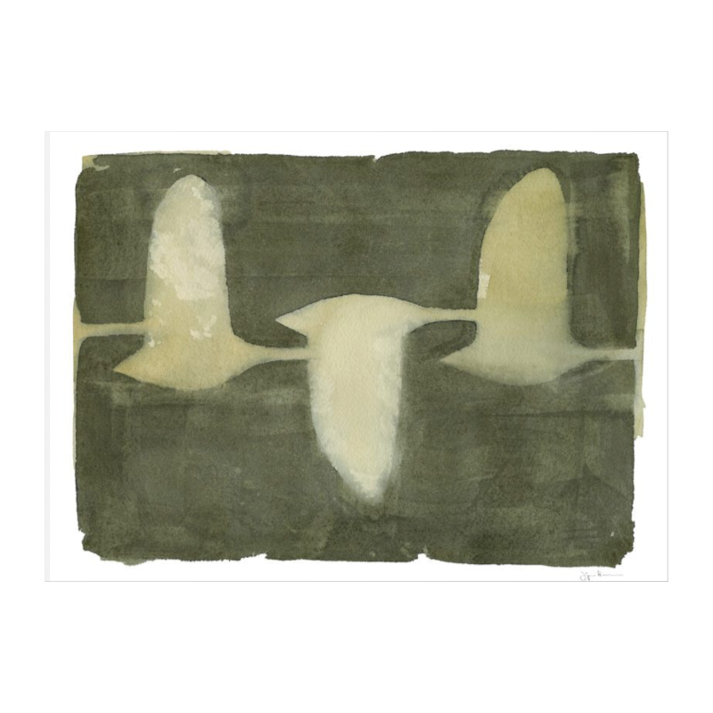 Print - Swans von Jörgen Hansson by The Poster Club