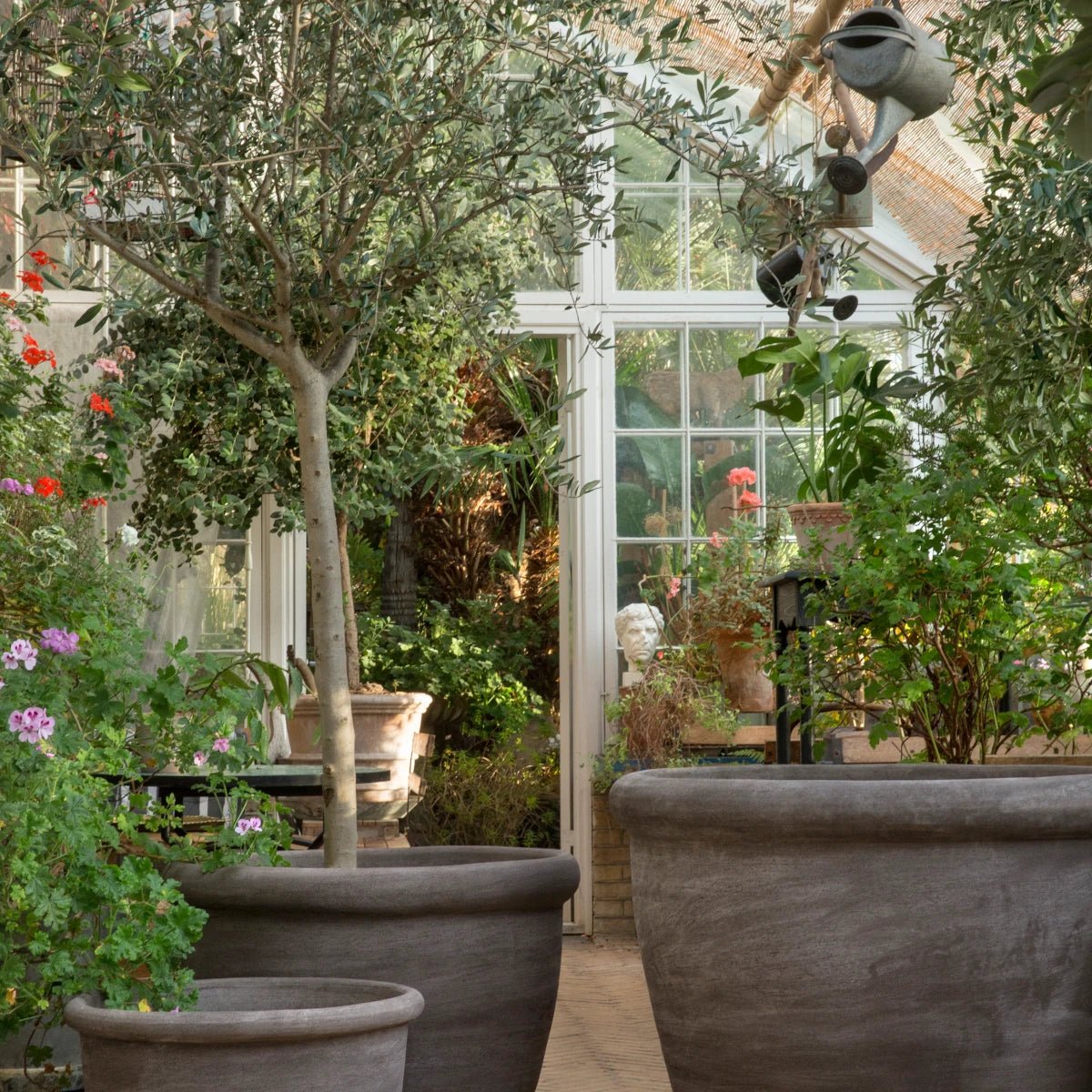 Bergs Potter - Blumentopf Campana RAW grau