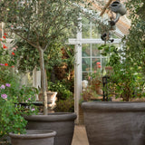 Bergs Potter - Blumentopf Campana RAW grau