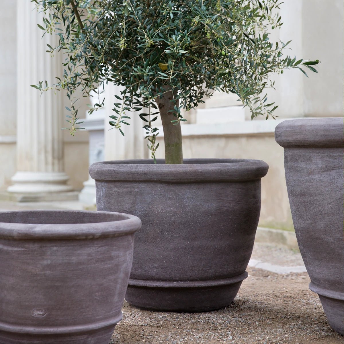 Bergs Potter - Blumentopf Campana RAW grau