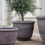 Bergs Potter - Blumentopf Campana RAW grau