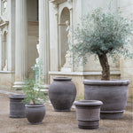 Bergs Potter - Blumentopf Campana RAW grau