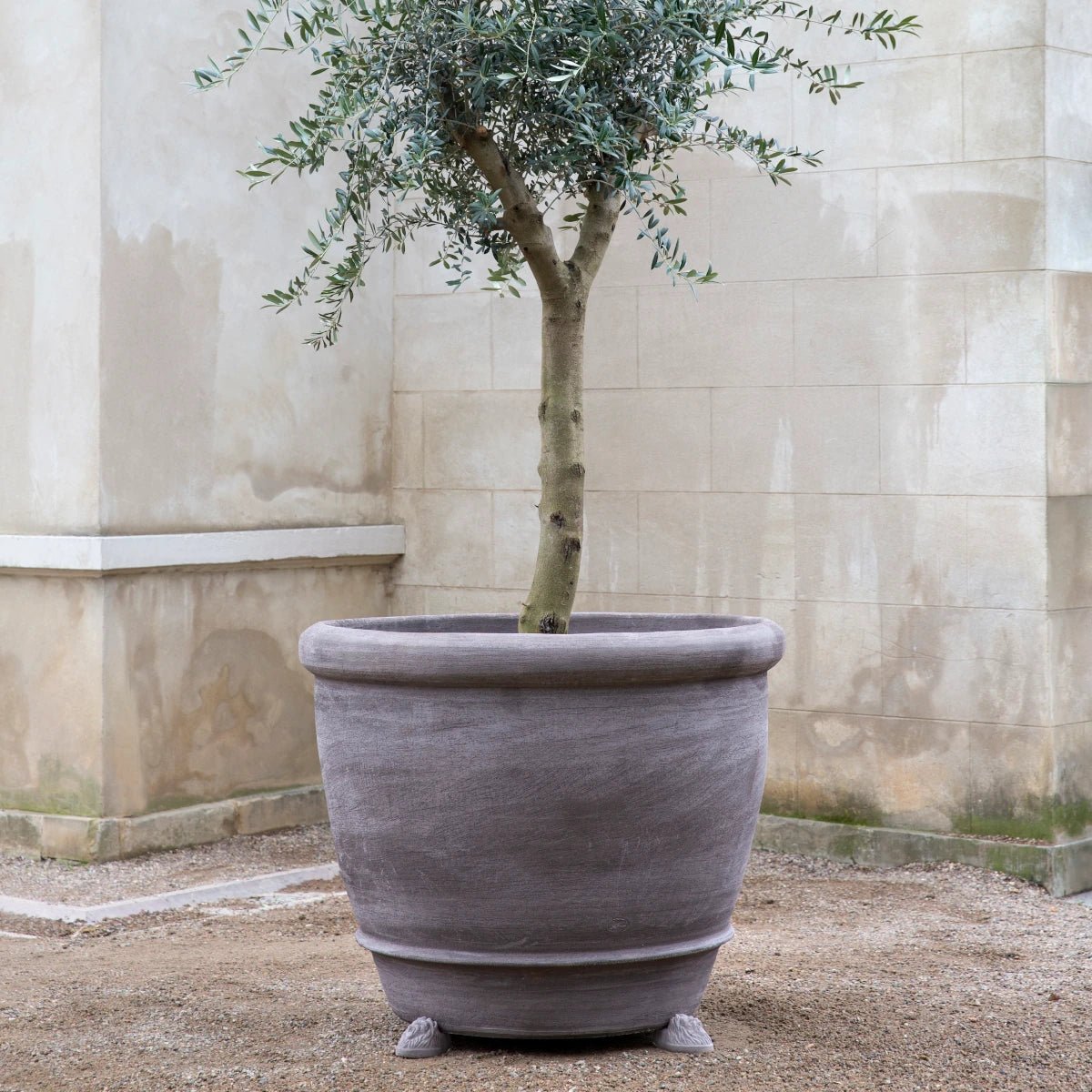 Bergs Potter - Blumentopf Campana RAW grau