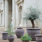 Bergs Potter - Blumentopf Campana RAW grau