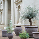 Bergs Potter - Blumentopf Campana RAW grau