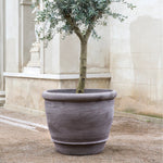 Bergs Potter - Blumentopf Campana RAW grau
