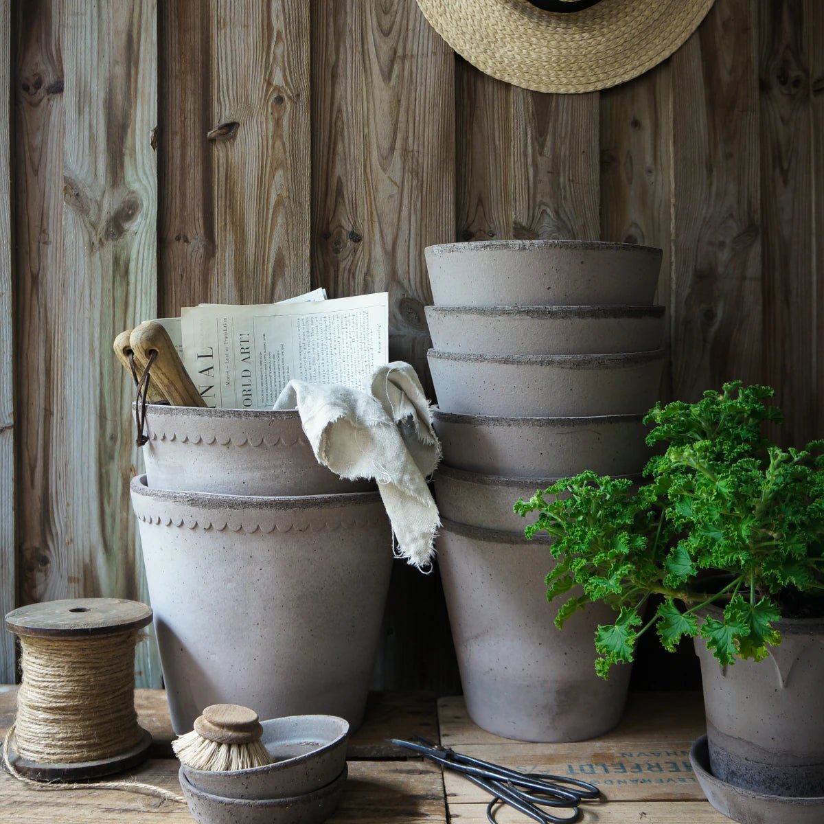 Bergs Potter - Blumentopf Flora RAW grau

