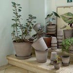 Bergs Potter - Blumentopf Flora RAW grau

