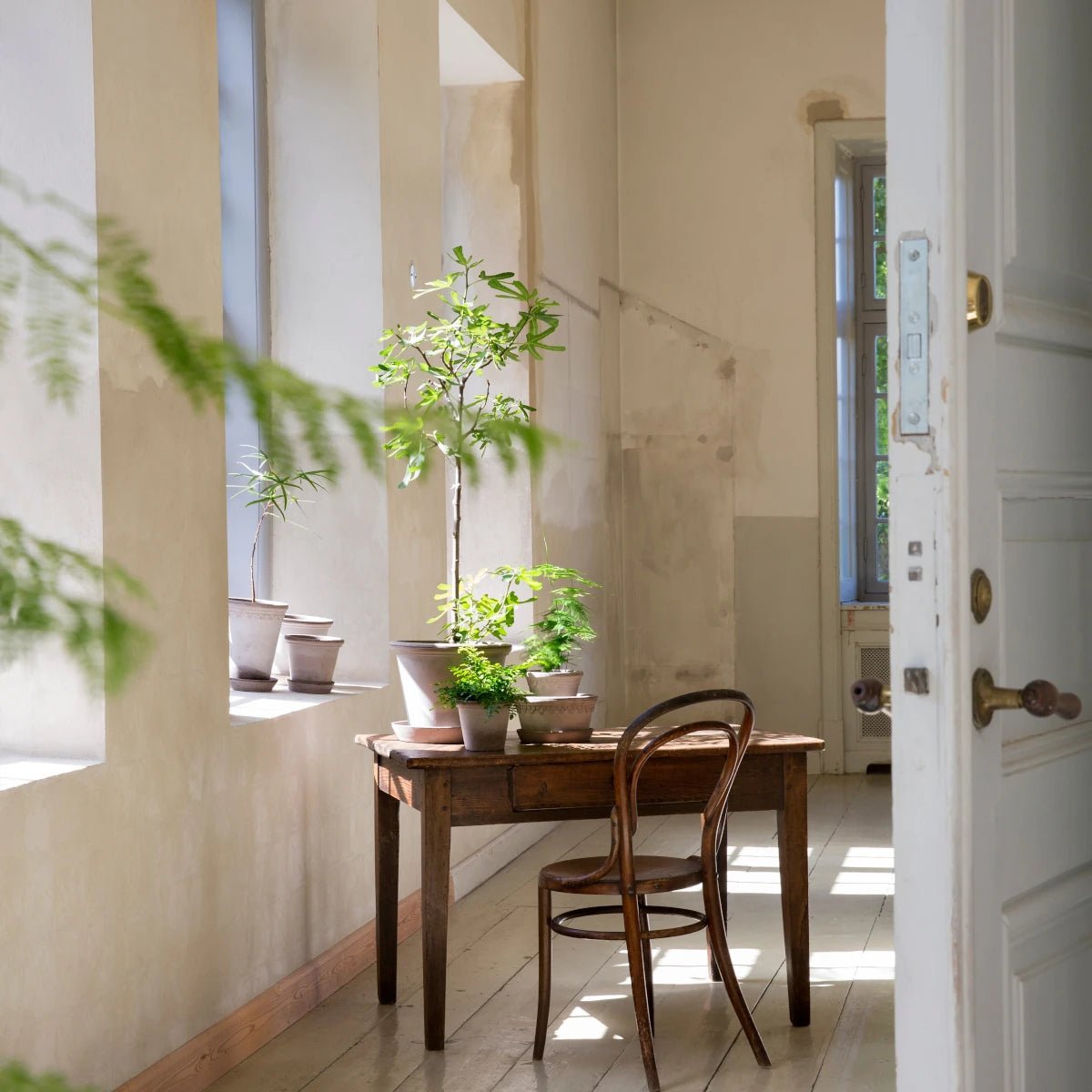 Bergs Potter - Blumentopf Flora RAW grau

