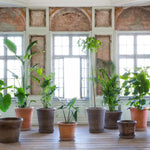 Bergs Potter - Blumentopf Flora RAW grau

