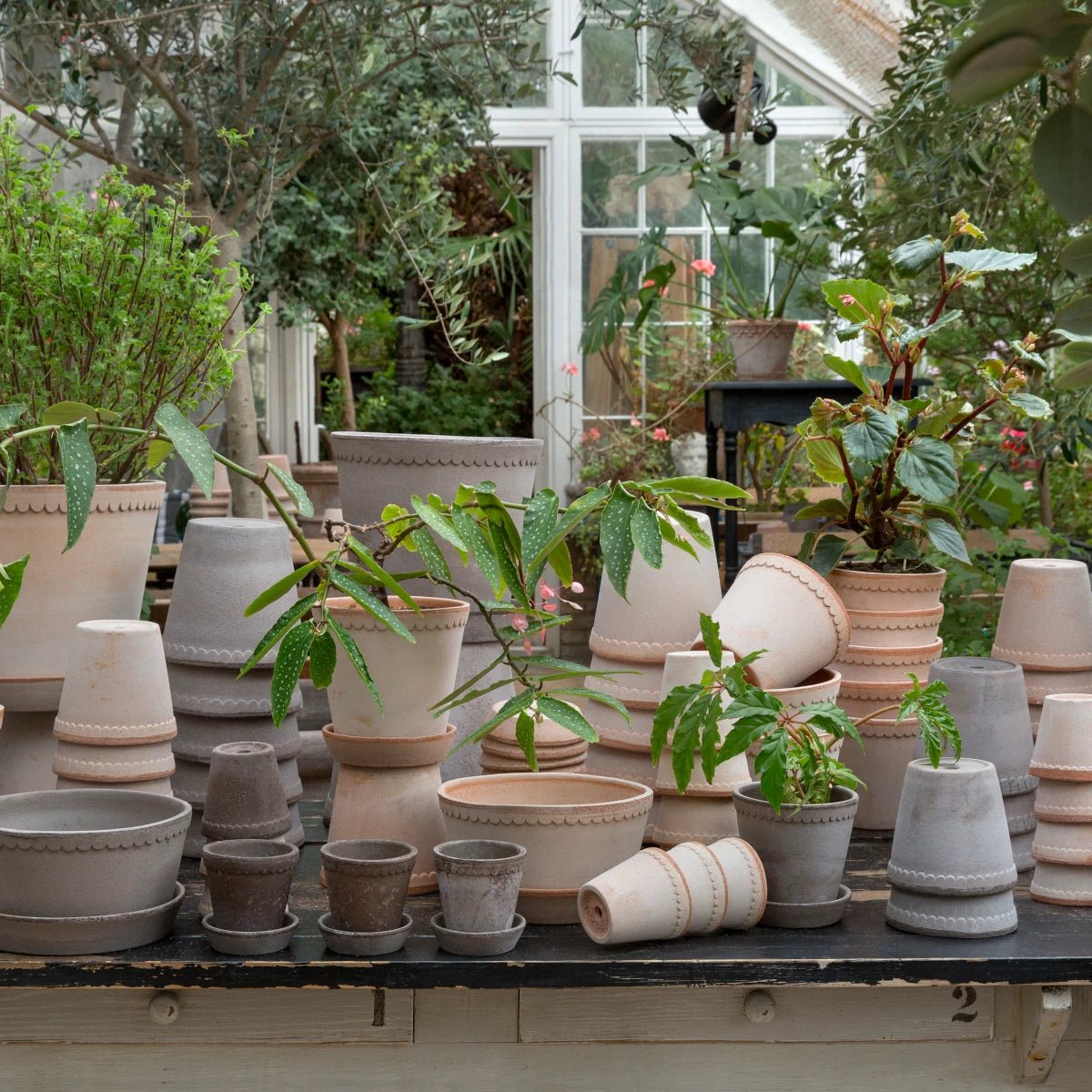 Bergs Potter - Blumentopf Flora RAW grau

