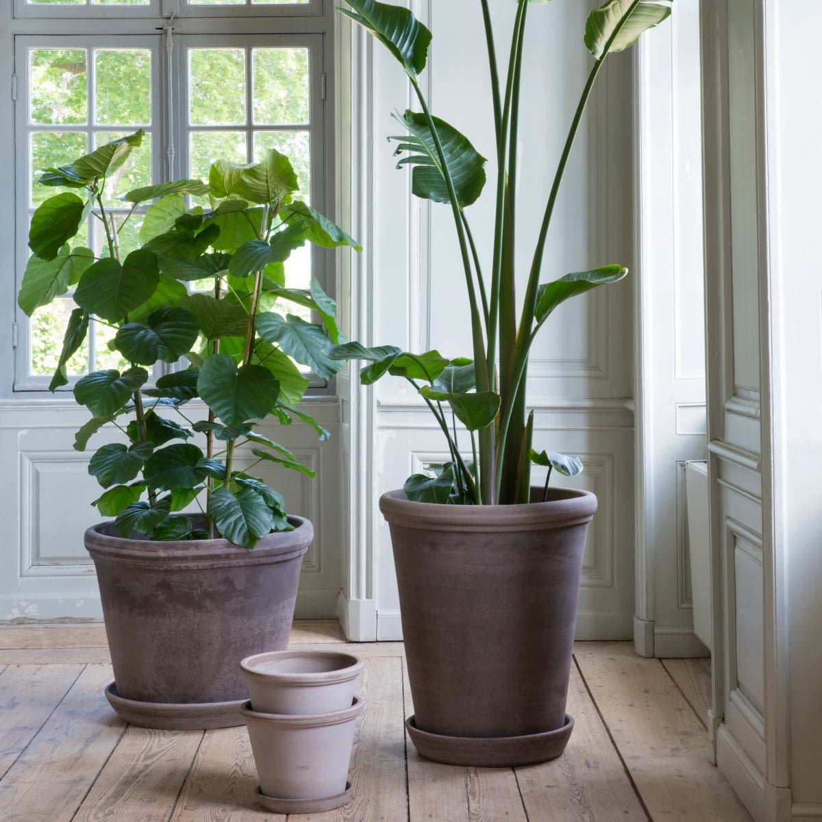 Bergs Potter - Blumentopf Flora RAW grau

