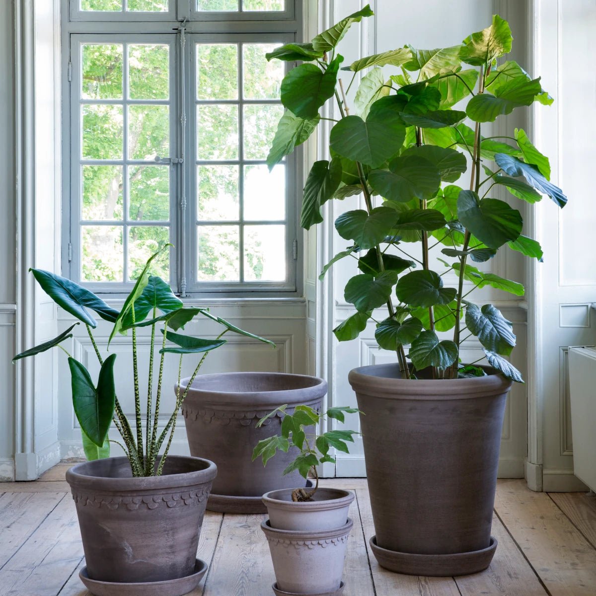 Bergs Potter - Blumentopf Flora RAW grau

