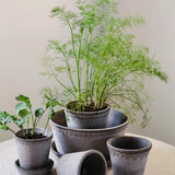Bergs Potter - Blumentopf Helena RAW grau

