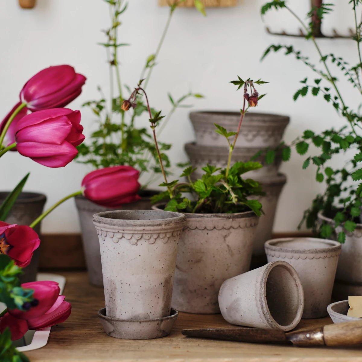 Bergs Potter - Blumentopf Helena RAW grau

