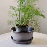 Bergs Potter - Blumentopf Helena RAW grau

