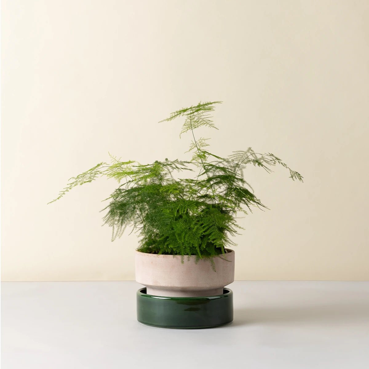 Bergs Potter - Blumentopf Hoff grau/emerald grün 2er Set

