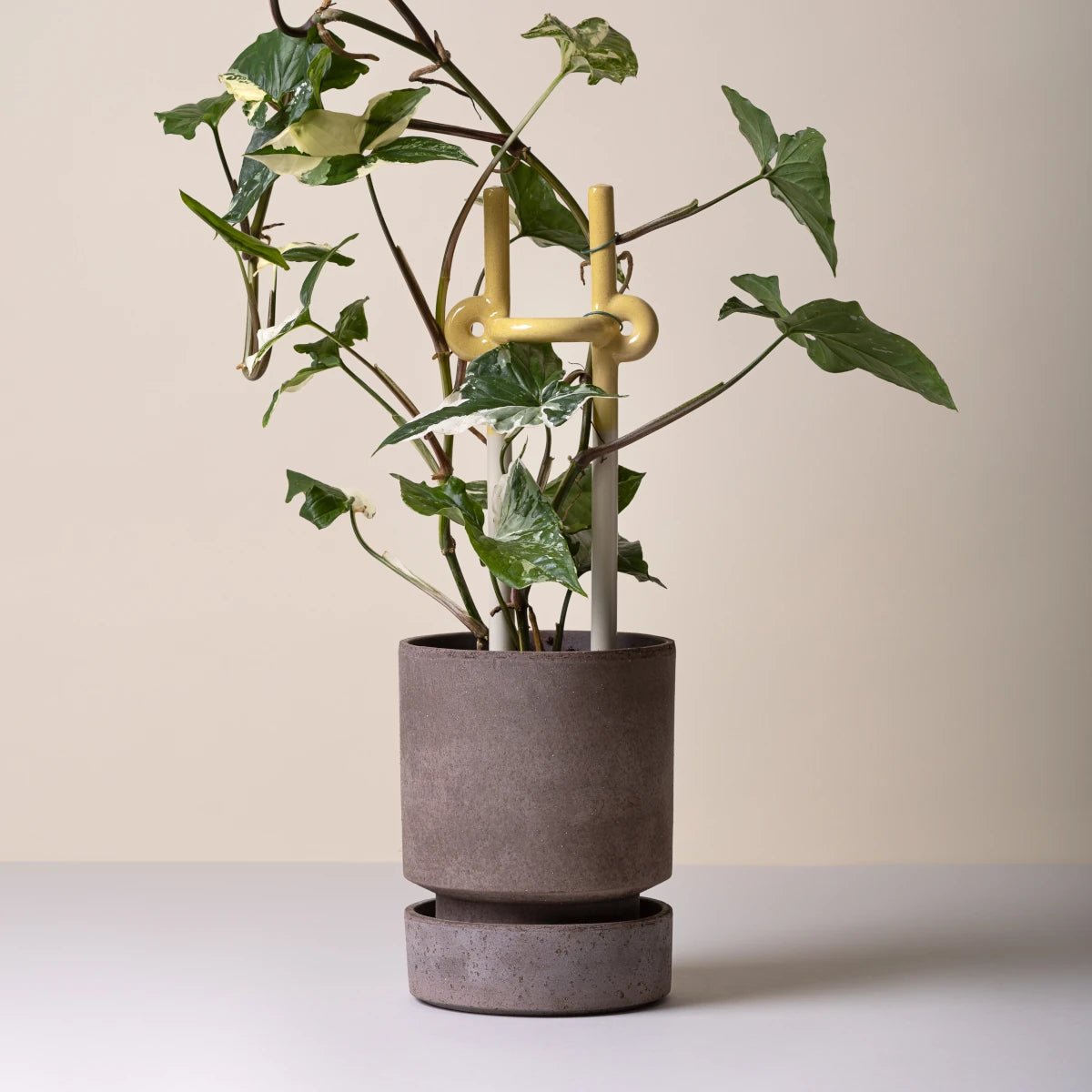 Bergs Potter - Blumentopf Hoff grau/emerald grün 2er Set

