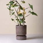 Bergs Potter - Blumentopf Hoff grau/emerald grün 2er Set

