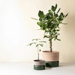 Bergs Potter - Blumentopf Hoff grau/emerald grün 2er Set

