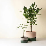 Bergs Potter - Blumentopf Hoff grau/emerald grün 2er Set

