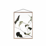 Picture frame A4 - Frame OAK