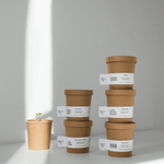 Bio Kräuterteemischung - Trink es, pflanze es von Rhoeco