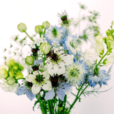Blumenstrauss - Wild Bouquets Nigella von Jora Dahl