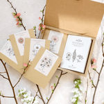 Blumenstrauss - Wild Bouquets soft apricot von Jora Dahl