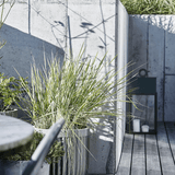 Blumentopf - Concrete light grey von House Doctor