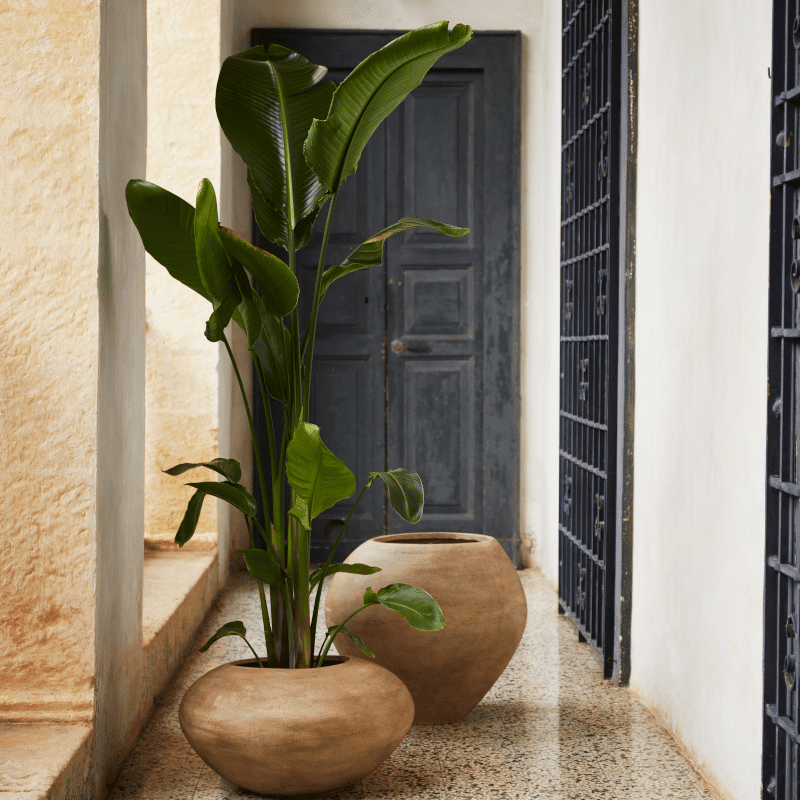 Blumentopf - Dodu low brown von Ferm Living