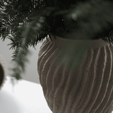 Blumentopf – Raw L sandy mole von dbkd