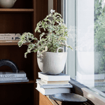 Blumentopf - Speckle S Off-White von Ferm Living