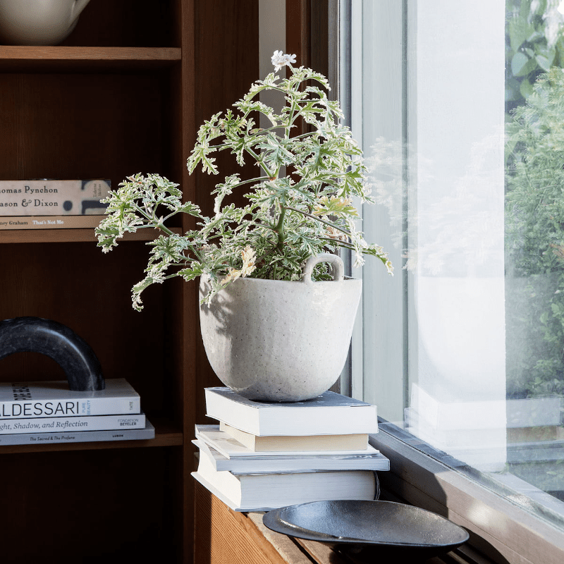 Blumentopf - Speckle S Off-White von Ferm Living