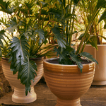 Blumentopf - Stoneware vanilla von HK Living