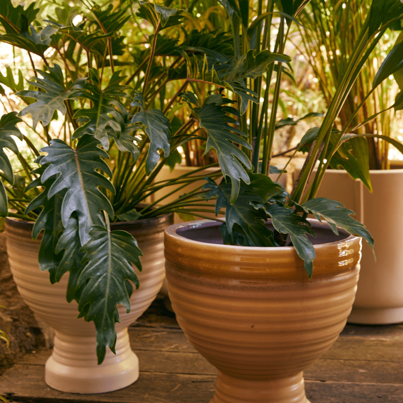 Blumentopf - Stoneware vanilla von HK Living
