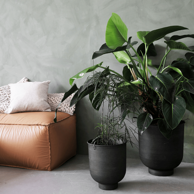 Blumentopf - VIG hoch grau von House Doctor