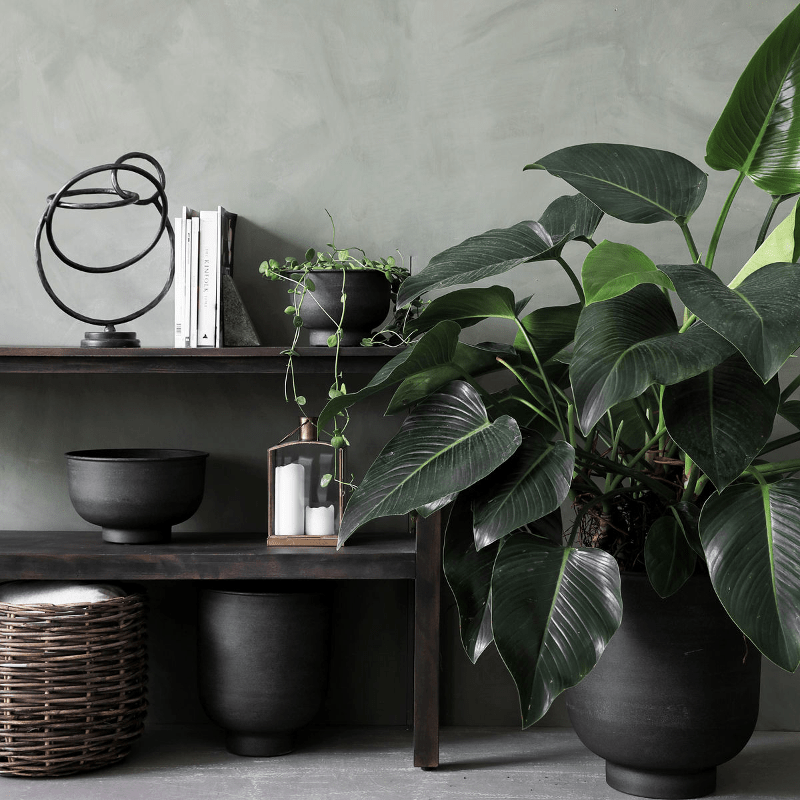 Blumentopf - VIG hoch grau von House Doctor