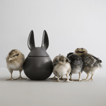 Bowl - Rabbit cast iron black S von dbkd