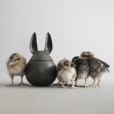 Bowl - Rabbit cast iron black S von dbkd