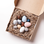 Box - A Dozen Bird Eggs von Moon Picnic