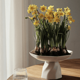 Broste Copenhagen - Centrepiece Limfjord beige