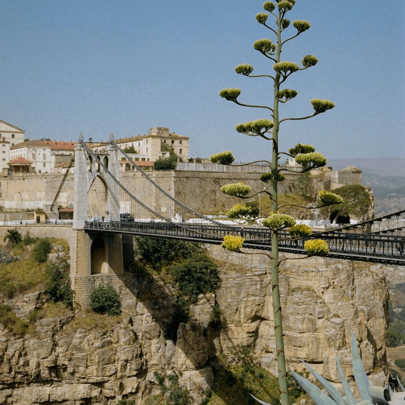 Buch - Kinfolk Journeys von New Mags