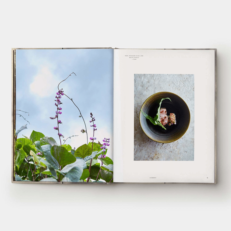 Buch - Monk von New Mags