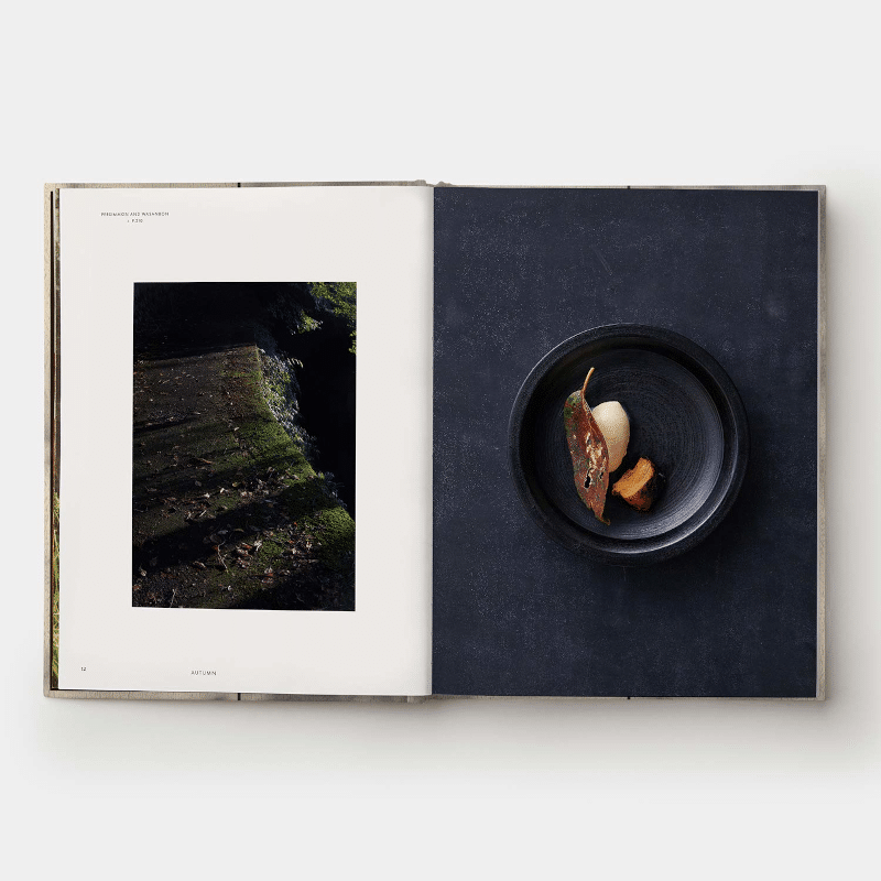Buch - Monk von New Mags