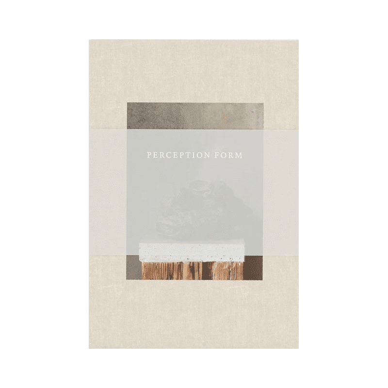 Buch - Perception Form book von New Mags