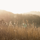 Buch - Stillness von New Mags