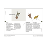 Buch - The Nature of Play von Fanny & Alexander