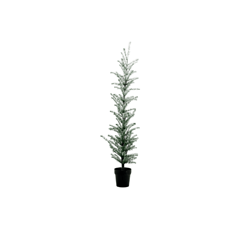 Christmas tree mittel - Flocked mit LED Kette von House Doctor