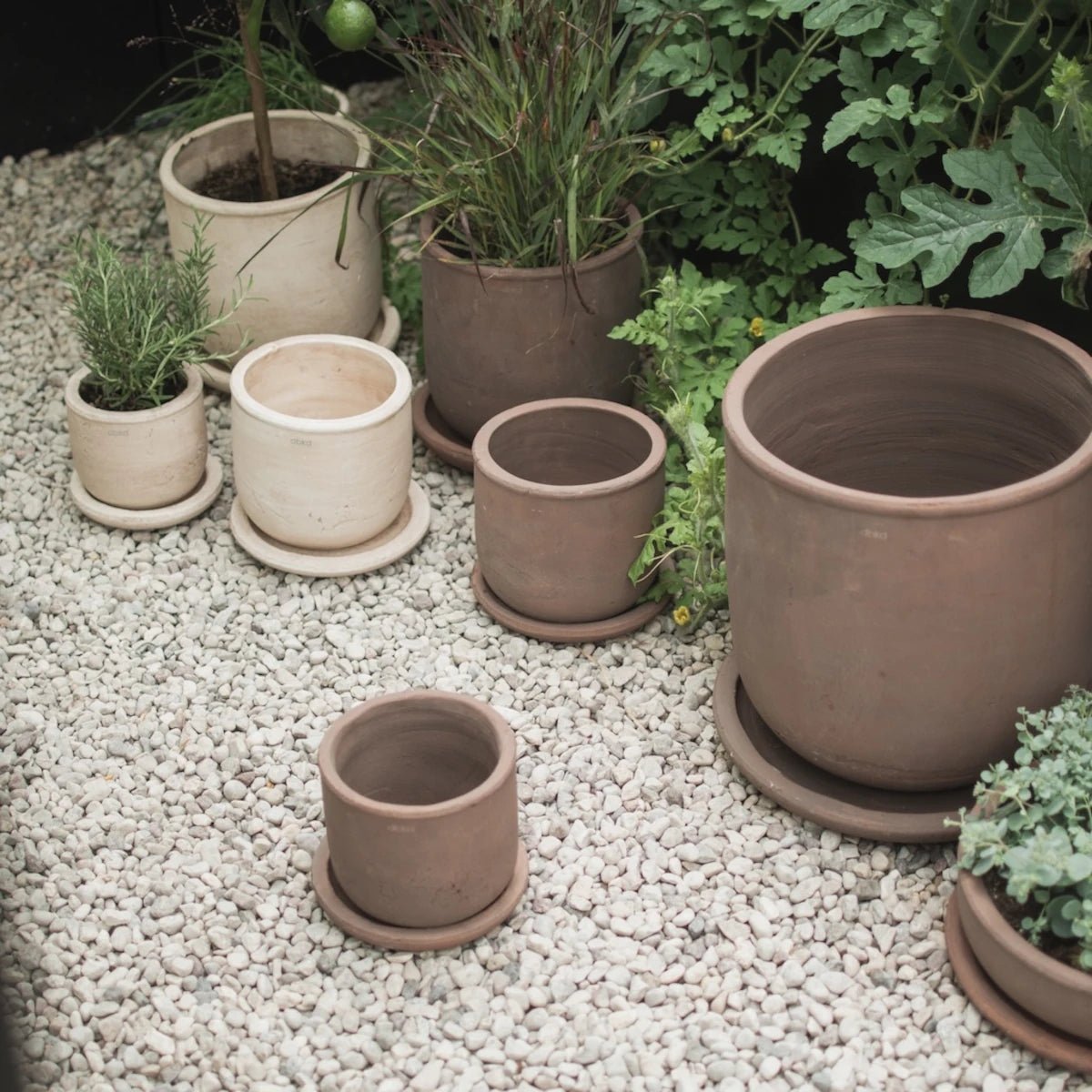 dbkd - Blumentopf Terra braun small

